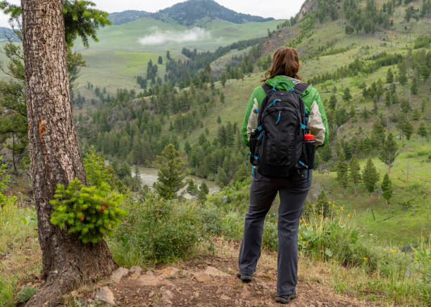 istock Female Backpacker Looks out Over Yellowstone 1201719304