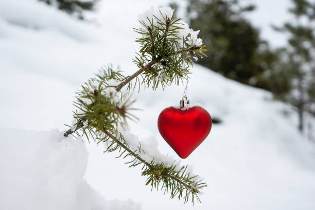 istock Red heart shaped ornament on small tree 1201722024