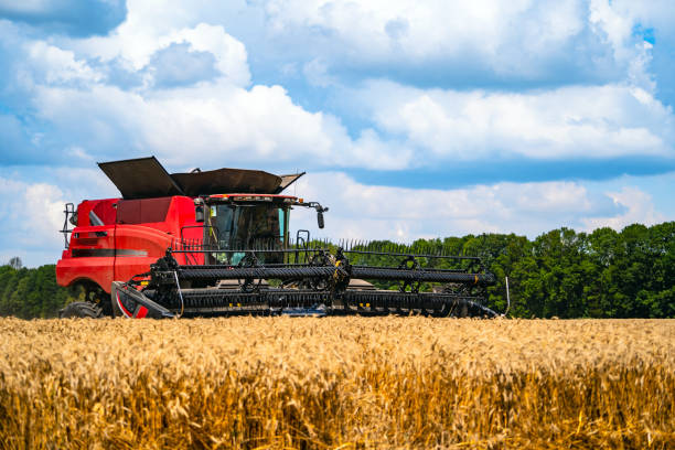 istock Red grain harvesting combine in a sunny day. 1201723333