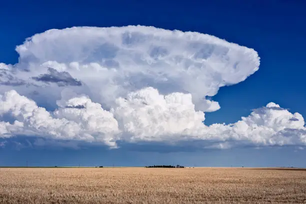 Thunderstorm cumulonimbus clouds and blue sky over a field in Kansas.