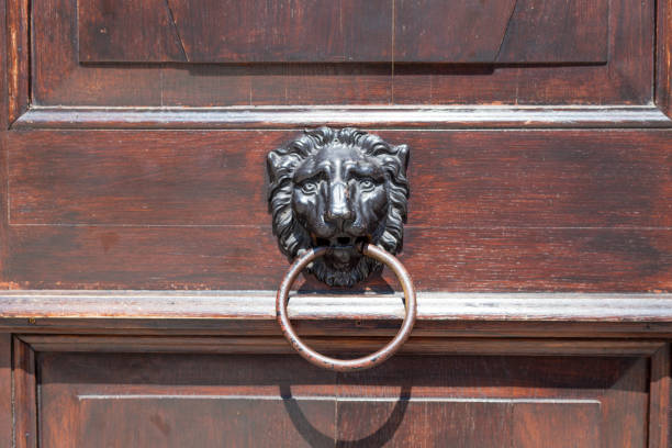 antique brass door knocker in the shape of a lion's head, detail of wooden door - door knocker door lion luxury imagens e fotografias de stock