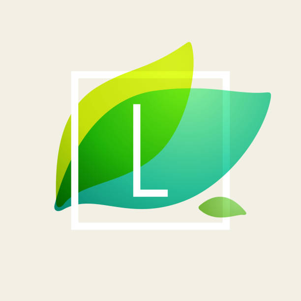 logo litery l w kwadratowej ramce na zielonym liściach tła akwareli. - water letter l alphabet splashing stock illustrations