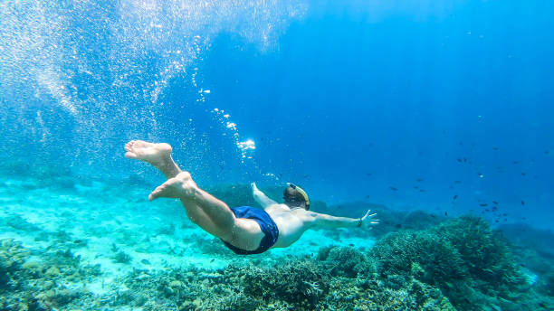 istock Komodo - A man snorkelling on a coral reef 1201726509