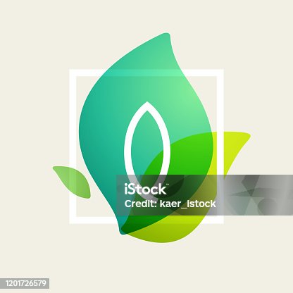 istock Q letter logo in square frame at green leaves watercolor background. 1201726579