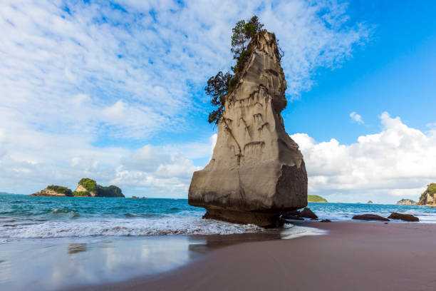 istock Trees and grass grow on rocks 1201729884