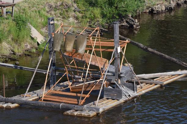 Free picture: cage, catch, fishing, fishing gear, metal, water, river ...