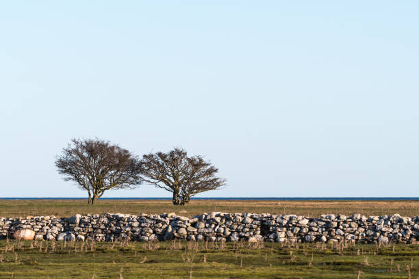 istock Dry stonewall and trees in a great plain grassland 1201738385