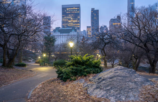 istock Gapstow Bridge in Central Park 1201743416