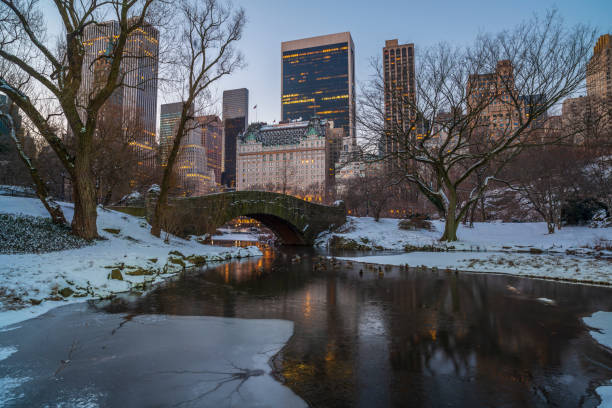 istock Gapstow Bridge in Central Park 1201743462