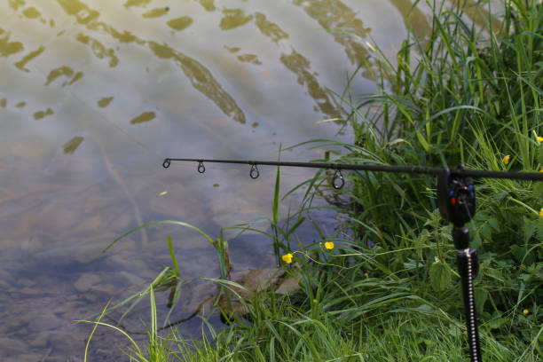 istock Fishing by the lake 1201744991
