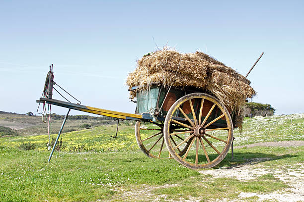 old fashioned einkaufswagen in der landschaft von portugal - pferdekarre stock-fotos und bilder