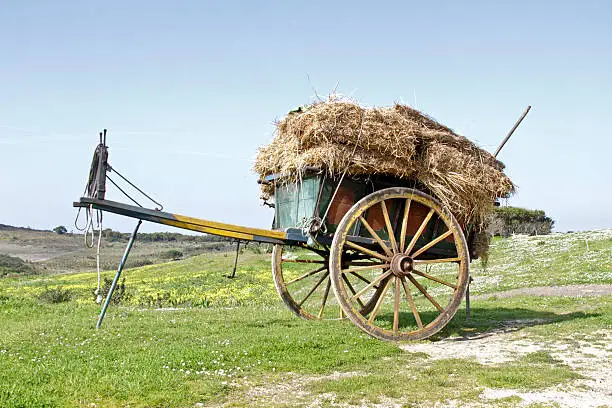 Old fashioned cart full of hay in the countryside from Portugal