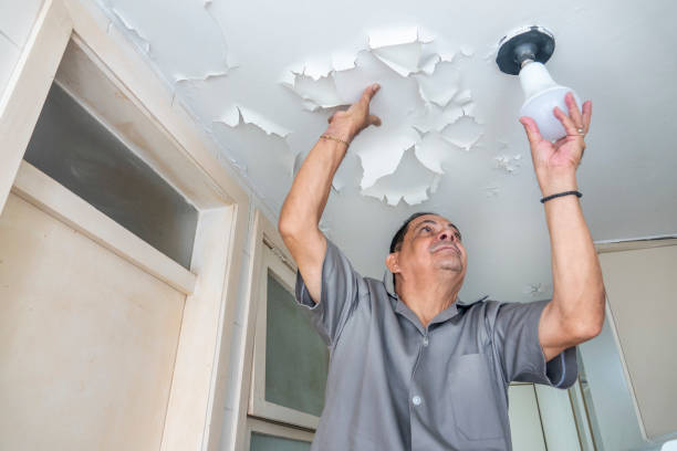 istock Electrician puts a lamp in the kitchen 1201749141