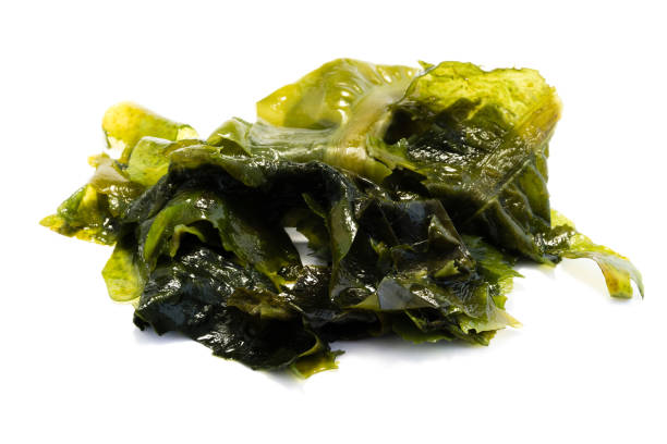 istock Wakame alga isolated on white background 1201749160