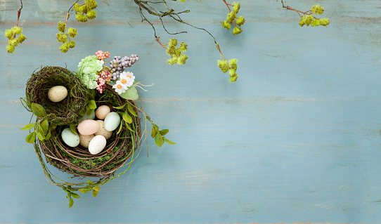 Easter Bird Nest with Easter Eggs on Rustic Blue Wood Background
