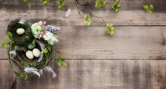 Easter Bird Nest with Easter Eggs on Rustic Wood Background