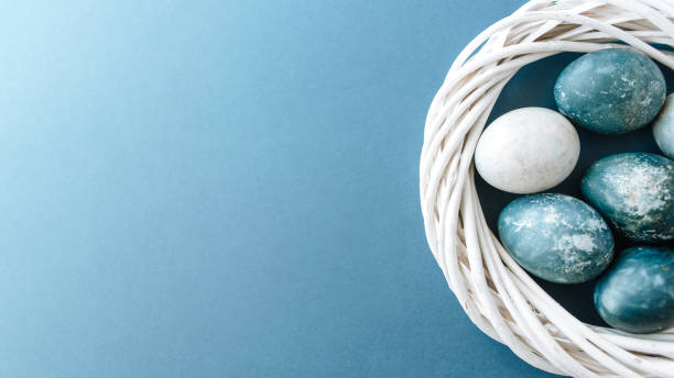 istock Banner of Group ight blue eggs in their nest on a blue background. Happy Easter decoration. 1201756820