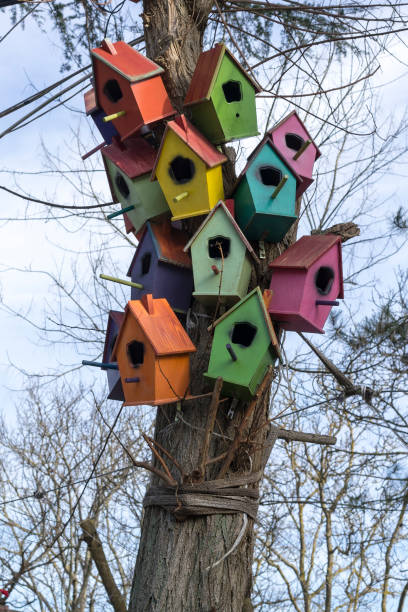 istock Colorful wooden birdhouses on tree 1201758768