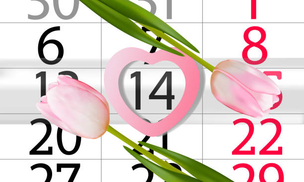 istock February 14th realistic calendar with tulips. Valentine's day concept. 1201758986