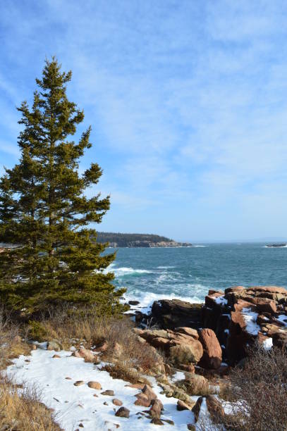 istock Acadia National Park coast in January 1201761489