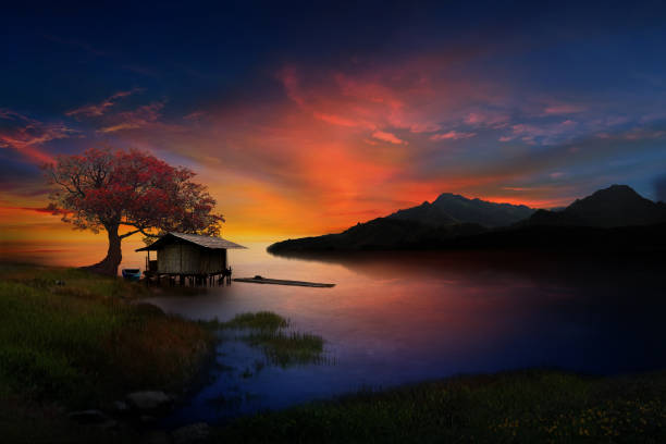 art of nature