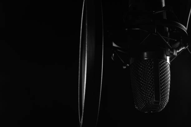 istock Close-up, Professional microphone in a recording studio. Black and white photo. Black background 1201778539