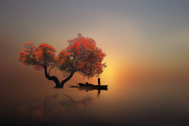 istock fishing the sun in the afternoon 1201778547
