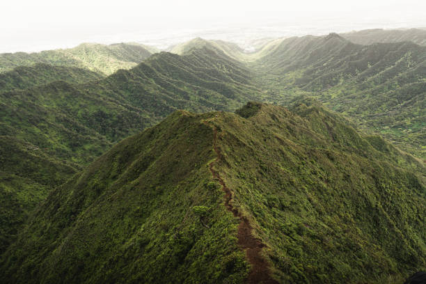 istock Mountain top views in Oahu. Dirt trail on ridge line looking back down the valley 1201780687