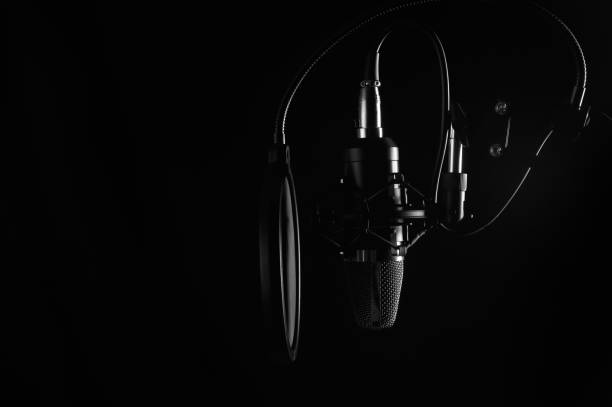 istock Studio condenser microphone isolated on black. Radio, vocals, podcasts. Copy space. 1201782692