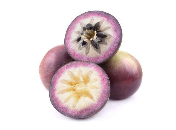 Star apple fruit or cainito isolated on white Many purple star apple fruit or cainito isolated on white background, Chrysophyllum Cainito. chrysophyllum cainito stock pictures, royalty-free photos & images