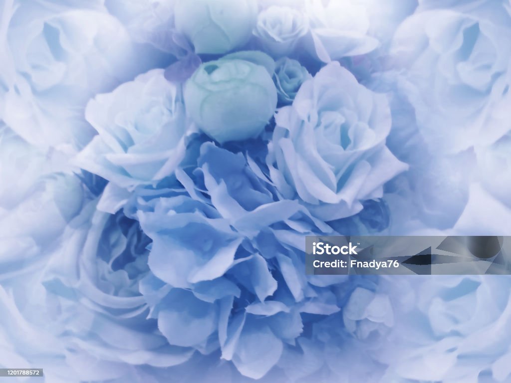 Nền Màu Xanh Nhạt Cổ Điển Hình Nền Của Hoa Hoa Hoa Mẫu Đơn Màu ...