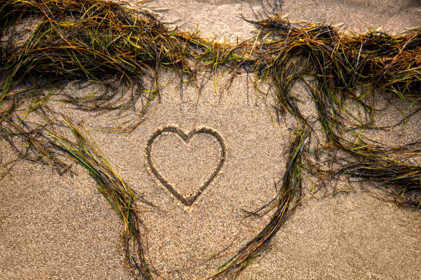 Hand-drawn heart shape symbol on the beach