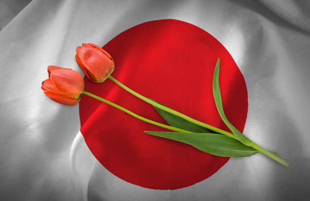 image of festive flowers on Japan flag background