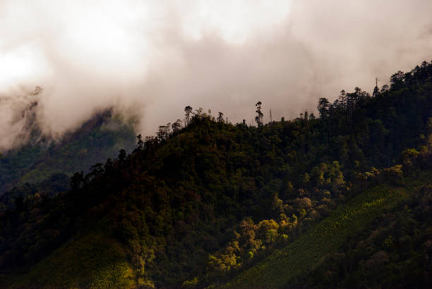 istock Mountains covered with clouds at sunrise in Guatemala, rural view, boque and deforestation, global warming, oxygen source forest. 1201794516