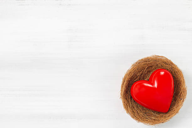 istock Red Heart Inside bird nest on white wood background. Protect  Love with Copy Space. 1201796429