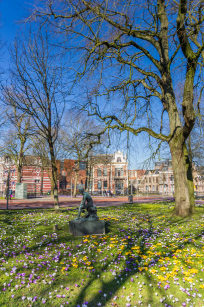 Statue in a field of crocuses in Groningen