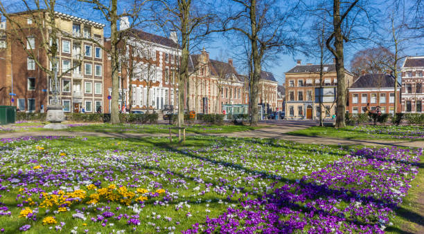 istock Colorful crocuses in a park in Groningen 1201803958