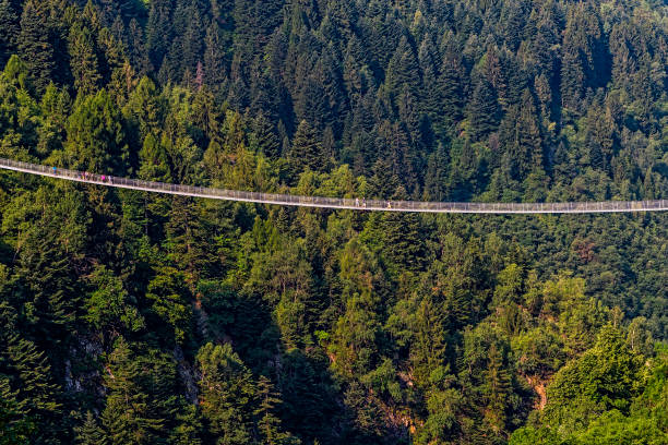 istock Bridge in the sky, Val Tartano, Italy 1201805529