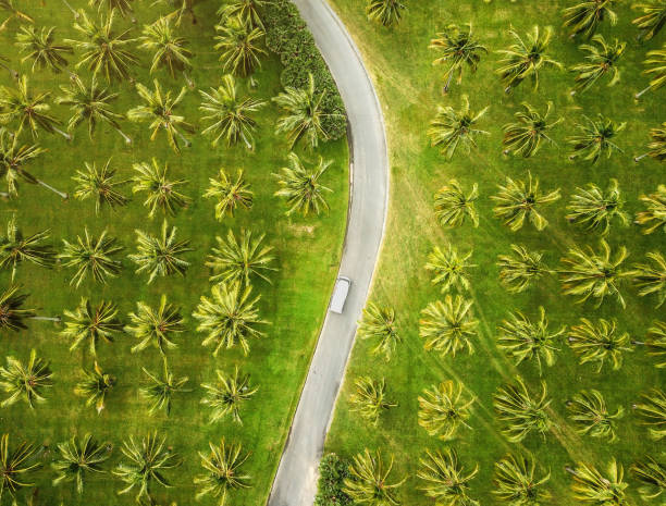 Motor home on the australian road Aerial view of a campervan on the australian road cairns australia photos stock pictures, royalty-free photos & images