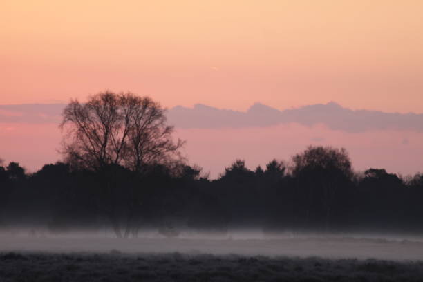 istock Sunrise in the State Forest Forest or Sint Anthonis, North Brabant, Land van Cuijk, The Netherlands, Europe. 1201809664
