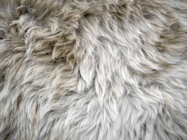 istock Wool background. Faux fur detail 1201809978