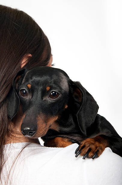 istock Girl with dachshund 120181213