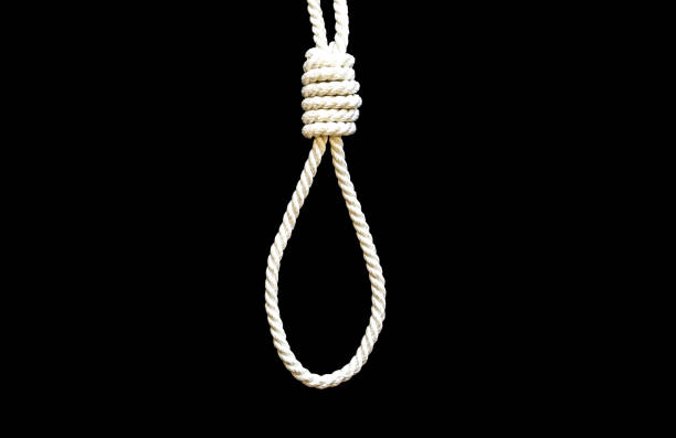 Hanging noose over white background