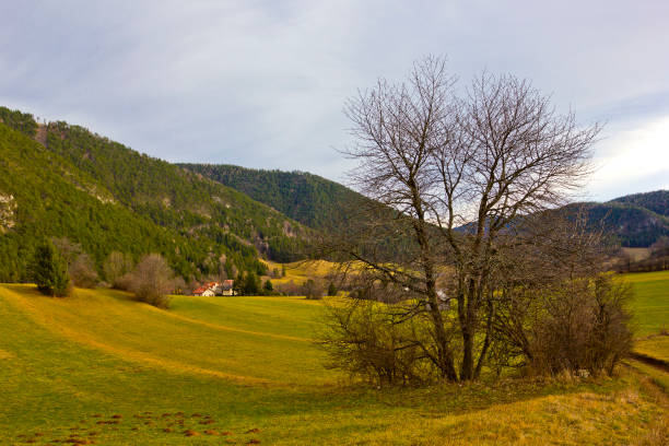 istock Alpine landscape in Puchberg am Schneeberg, Austria 1201813215