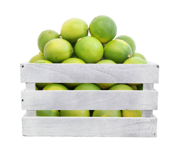 Limes in wooden box isolated