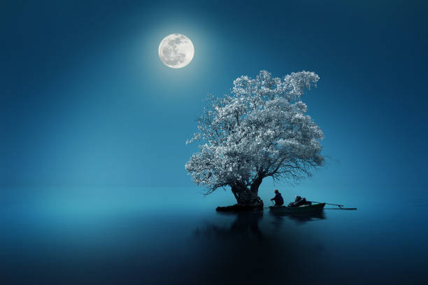 istock Fishing under the light of moon 1201814216