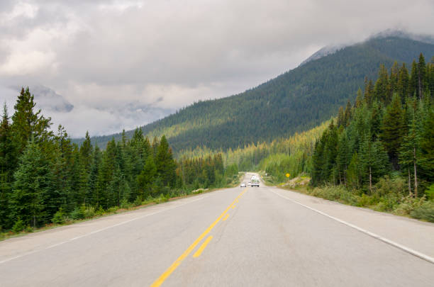 istock landscape along Icefield Parkway road in Canada 1201817491