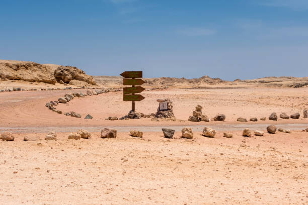 istock Desert Background Landscape in Egypt. Sinai Peninsula. 1201817912