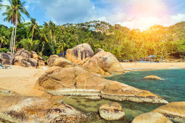 istock Palm Beach In Tropical Paradise Island 1201818751