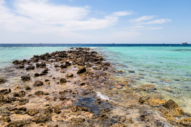 istock Red Sea desert rock coast landscape in Egypt. 1201818888